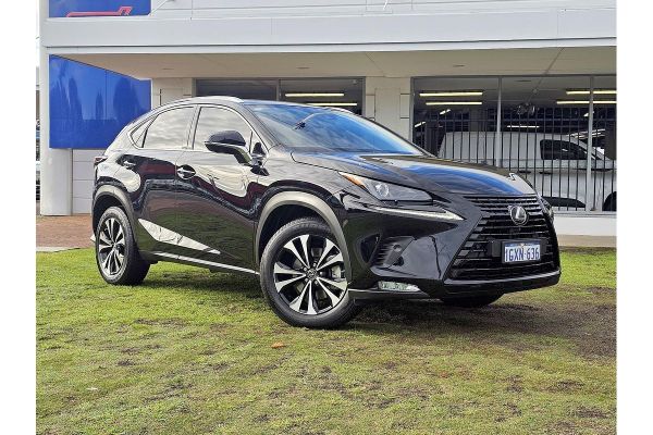 2019 Lexus NX AGZ10R 300 Luxury image