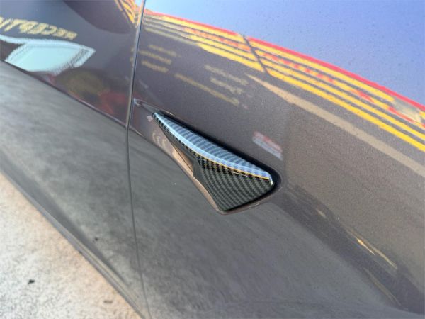 2021 Tesla Model 3 MY21 Standard Range Plus image