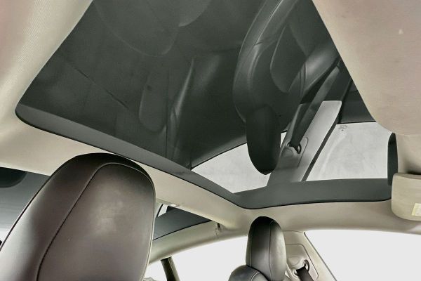2022 Tesla Model 3 image