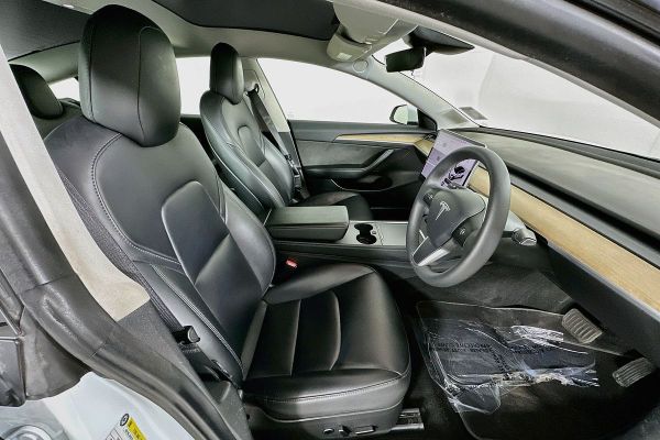 2022 Tesla Model 3 image