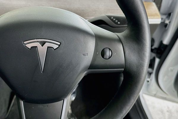 2022 Tesla Model 3 image