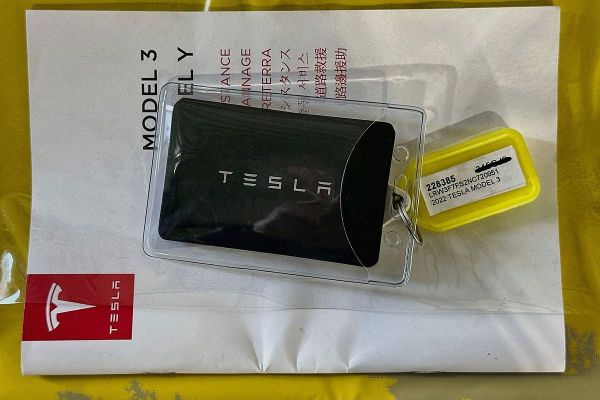2022 Tesla Model 3 image