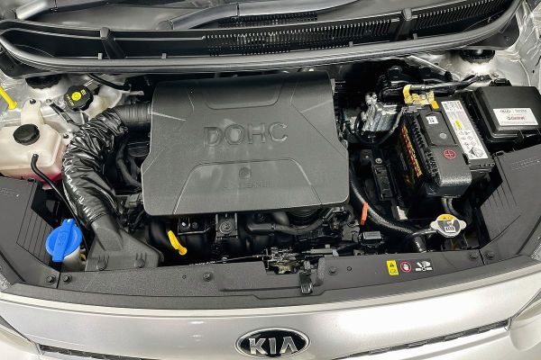 2021 Kia Picanto S image