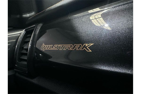 2019 Ford Ranger PX MkIII Wildtrak image