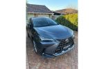 Image for 2025 Lexus NX AAZH25R 350h Sports Luxury