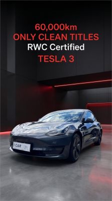 2021 Tesla Model 3 MY21 Standard Range Plus image