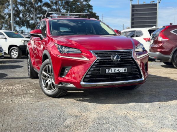 2020 Lexus NX AGZ10R 300 Luxury image