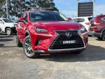 Image for 2020 Lexus NX AGZ10R 300 Luxury