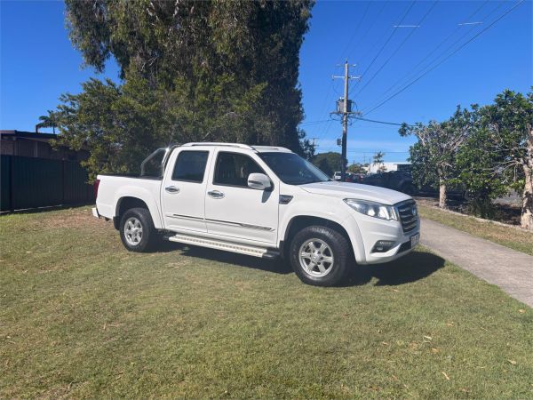 2019 GWM Steed NBP (4x2) image