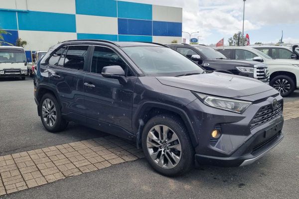 2019 Toyota RAV4 Cruiser MXAA52R image