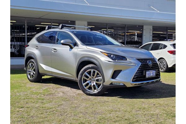 2020 Lexus NX AGZ10R 300 Luxury image