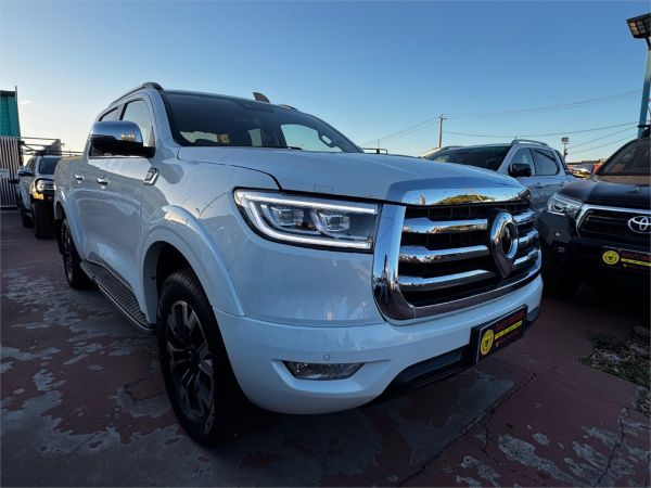 2023 GWM UTE DUAL CAB UTILITY CANNON-X (4x4) image