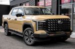 Image for 2025 LDV Terron 9  Origin