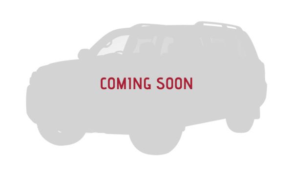 2025 Volkswagen Transporter Van NSN MY25 TDI390 image