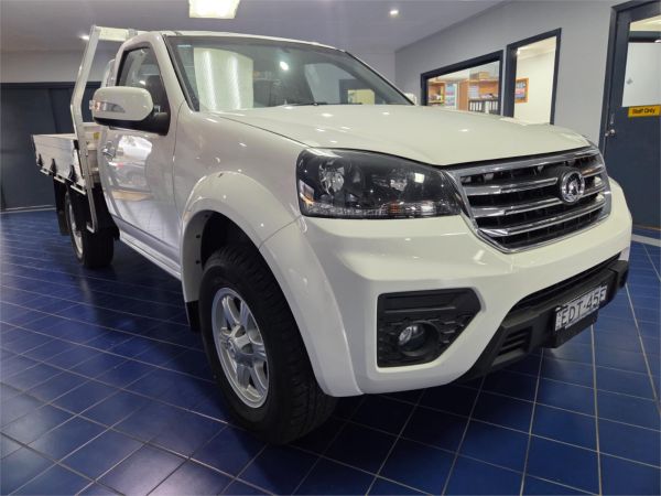 2019 GWM Steed K2  image