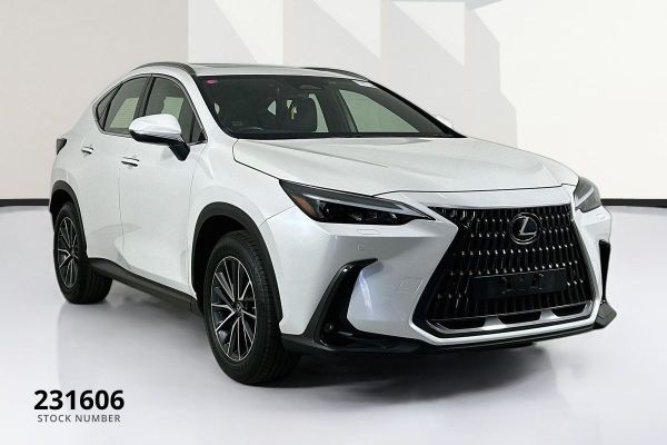 2022 Lexus NX AAZA20R 250 image